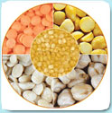 Pulses